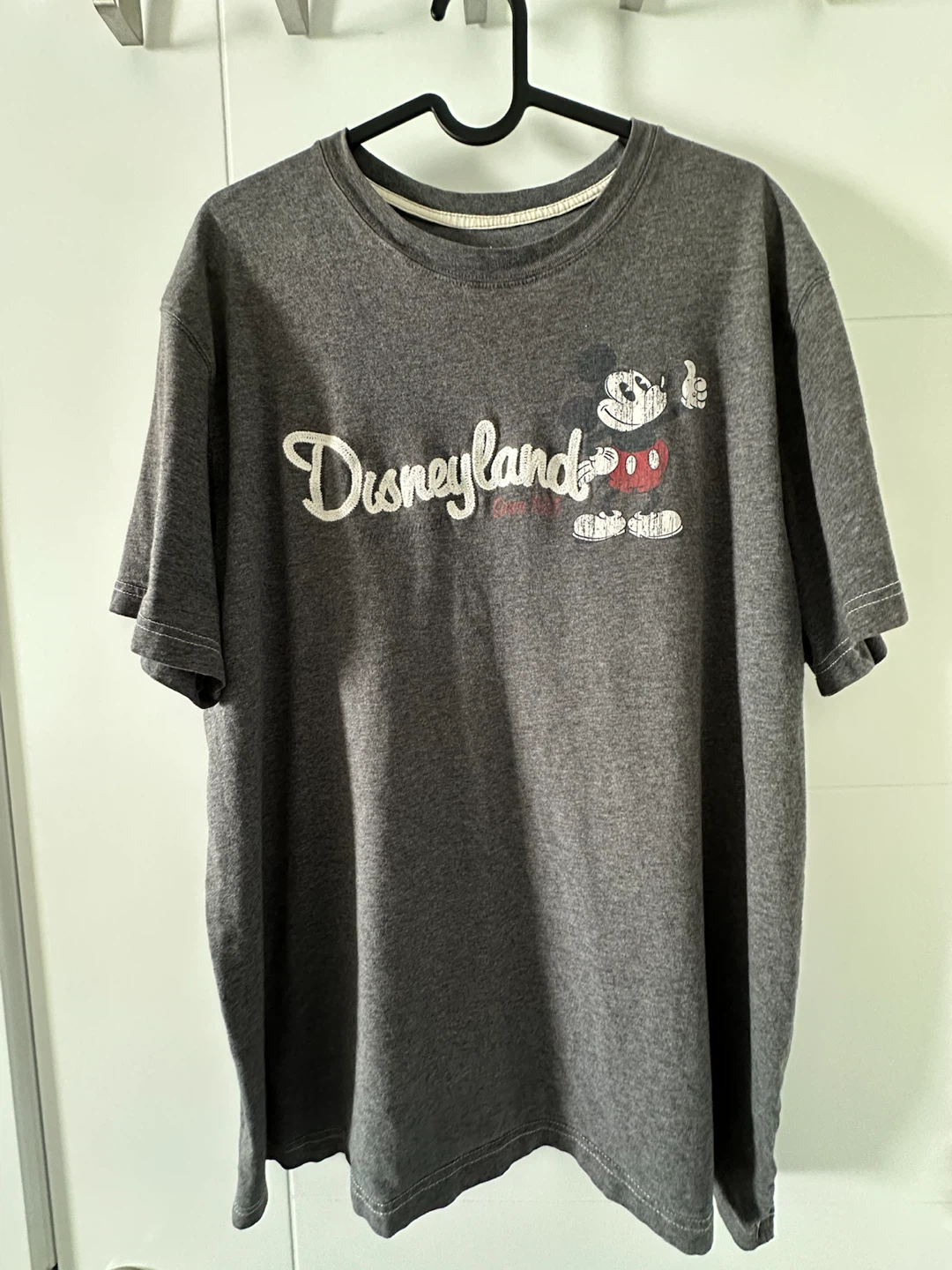 Disney Parks Grey Graphic T-Shirt