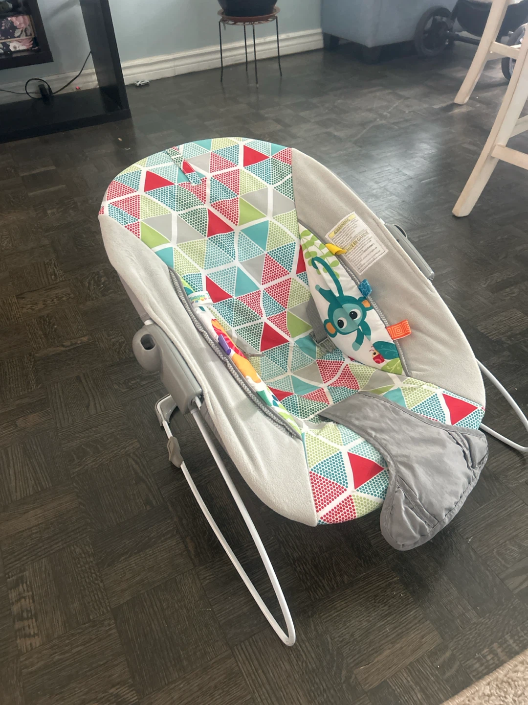Bright Starts Baby Bouncer