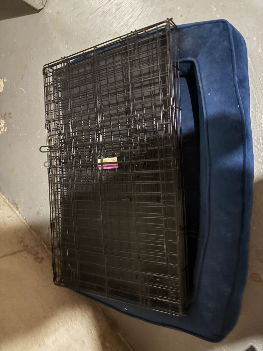 Top Paw Folding Dog Crate
