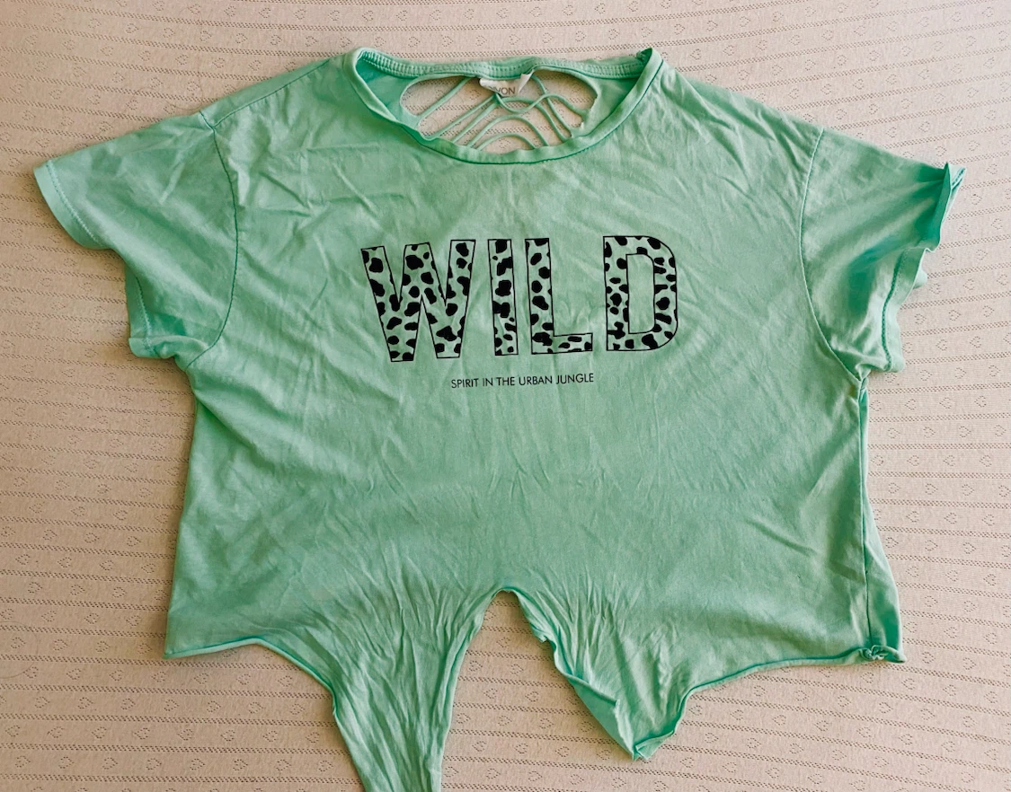 Divon Light Green Graphic T-Shirt XL