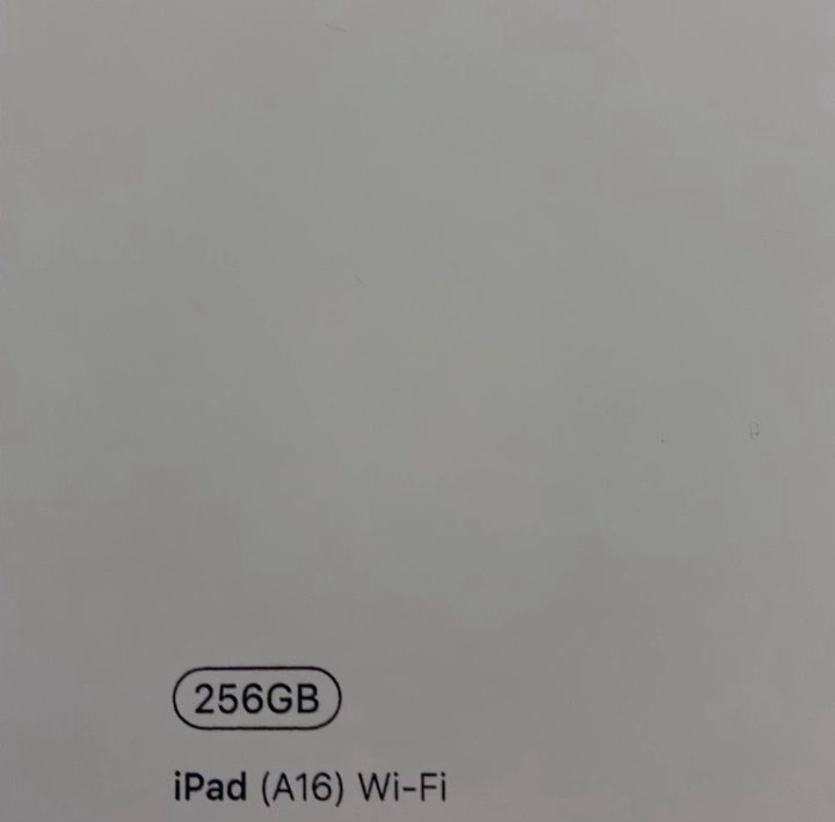 Apple iPad 256GB Wi-Fi - photo 2
