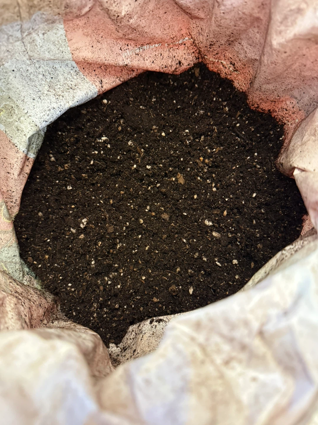 Potting Mix Soil