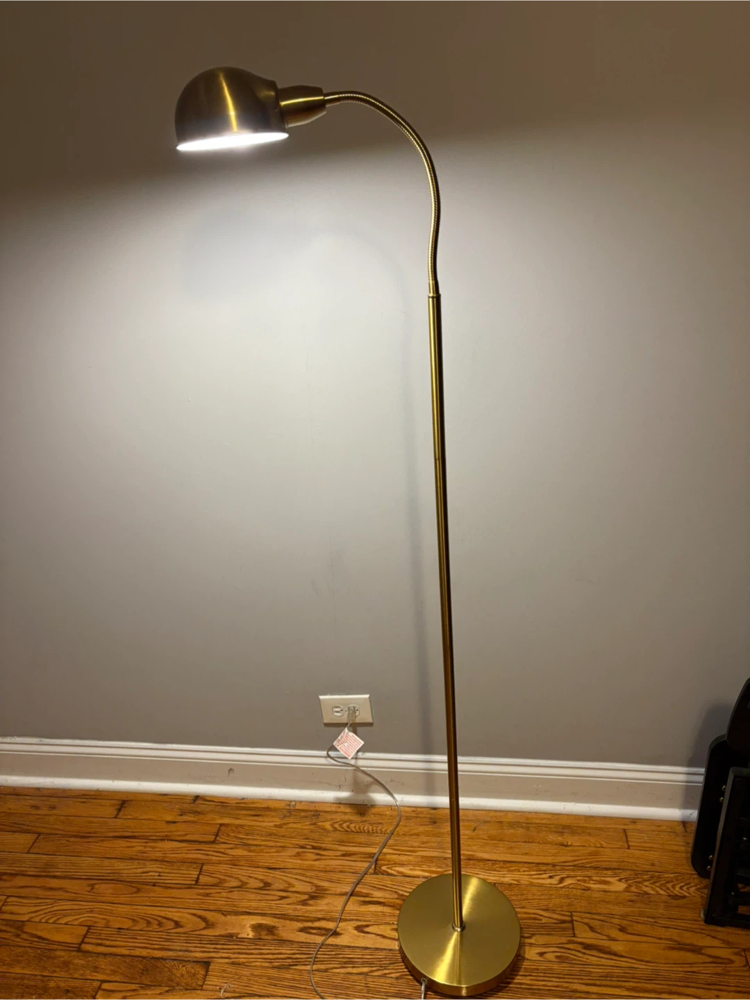 Brushed Gold Adjustable Floor Lamp