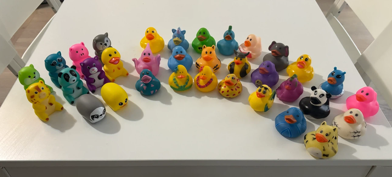 Colourful Rubber Duck & Animal Bath Toys – Assorted Collection