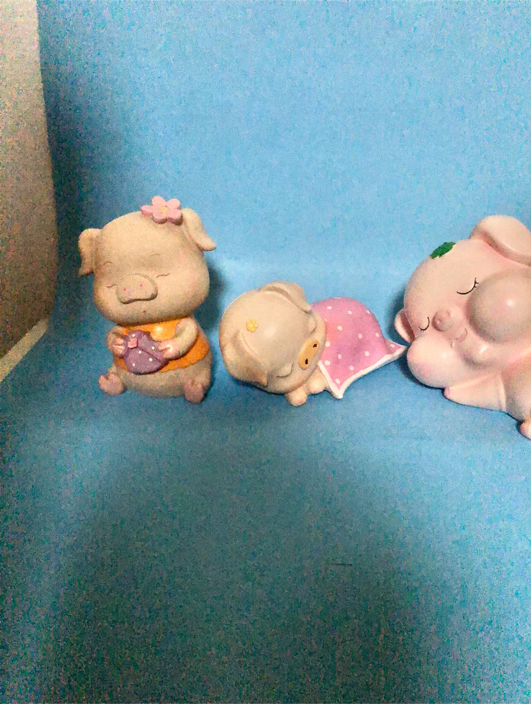 Three little piggy - photo 3