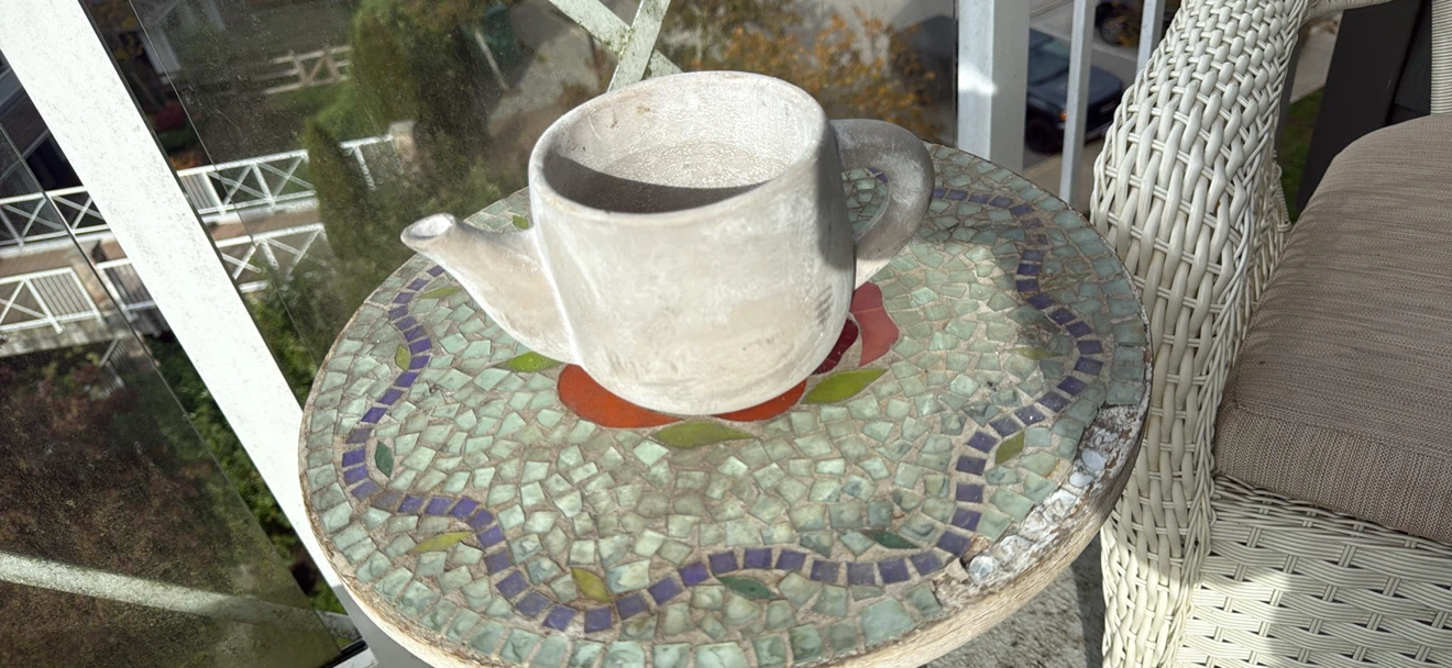 Rustic Stone Neti Pot