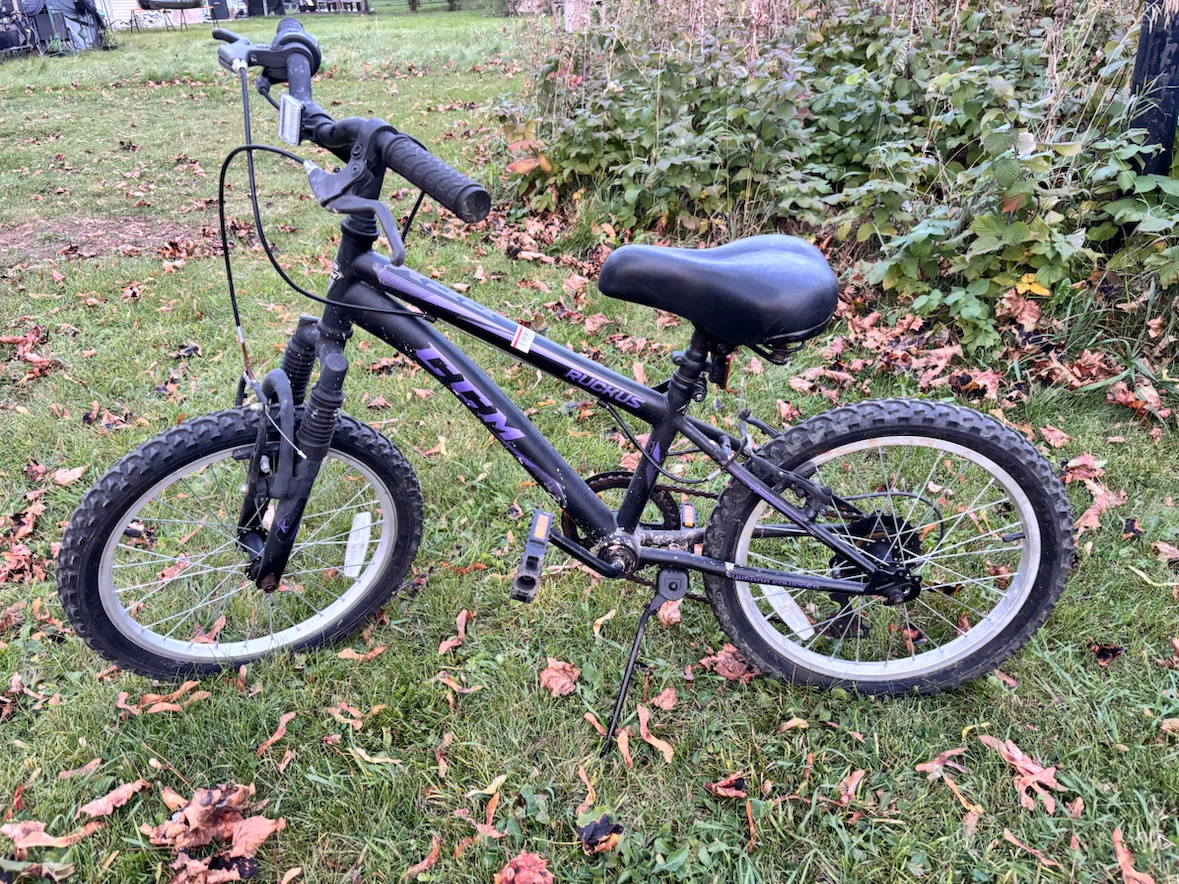CCM Ruckus 20-inch Kids Mountain Bike
