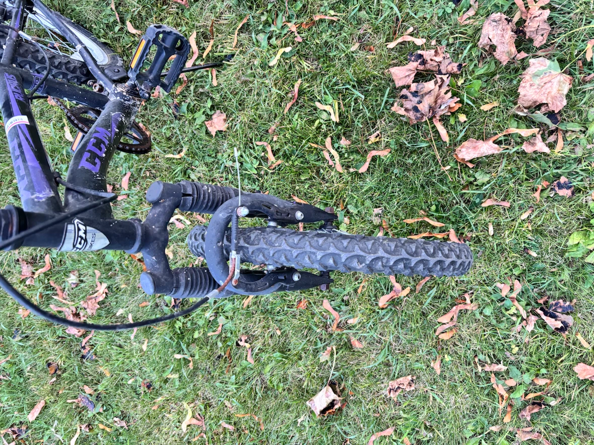 CCM Ruckus 20-inch Kids Mountain Bike - photo 2