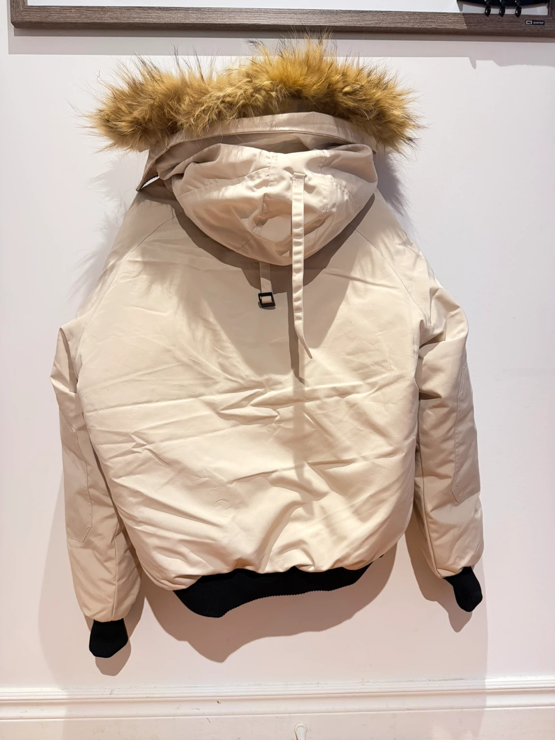 Canada Goose Bomber Jacket unisex - photo 2