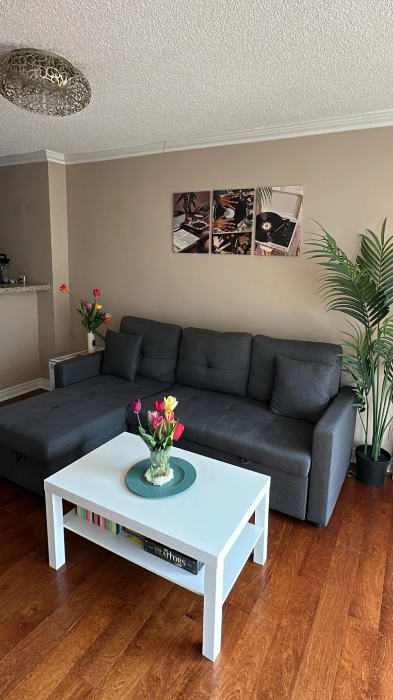 Sofa Bed with storage + 2 cushions (Reversible side)