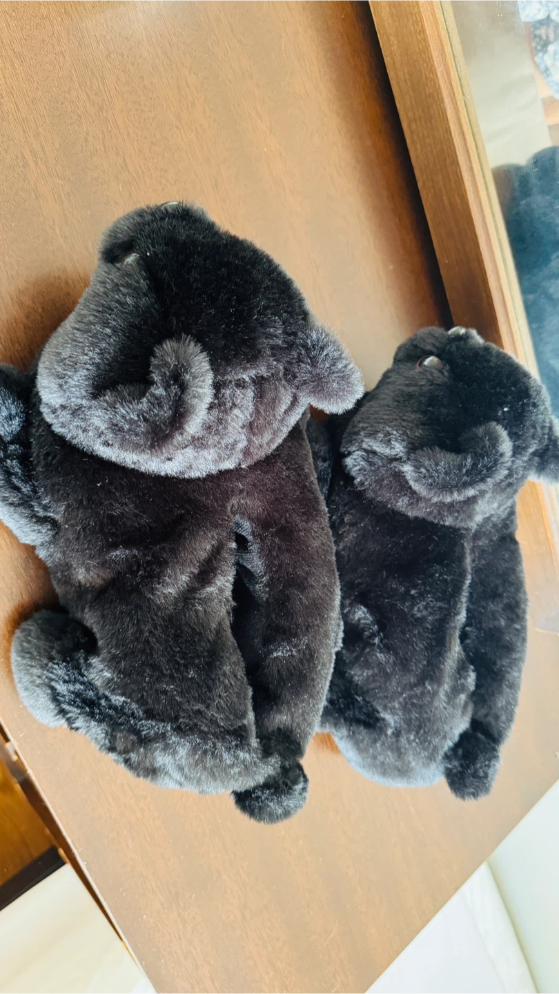 Women's Fuzzy Slippers Size S - Black Cat, New - photo 3