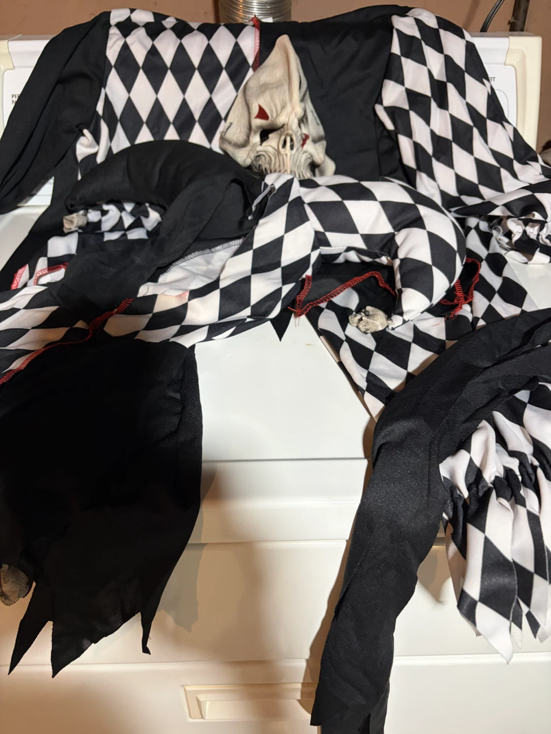 Black and White Jester Skull Costume