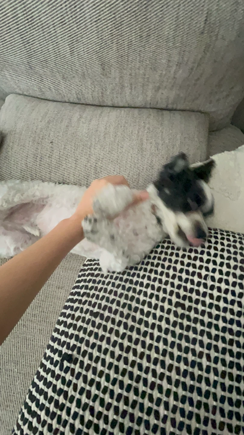 아 진짜 진짜 진짜