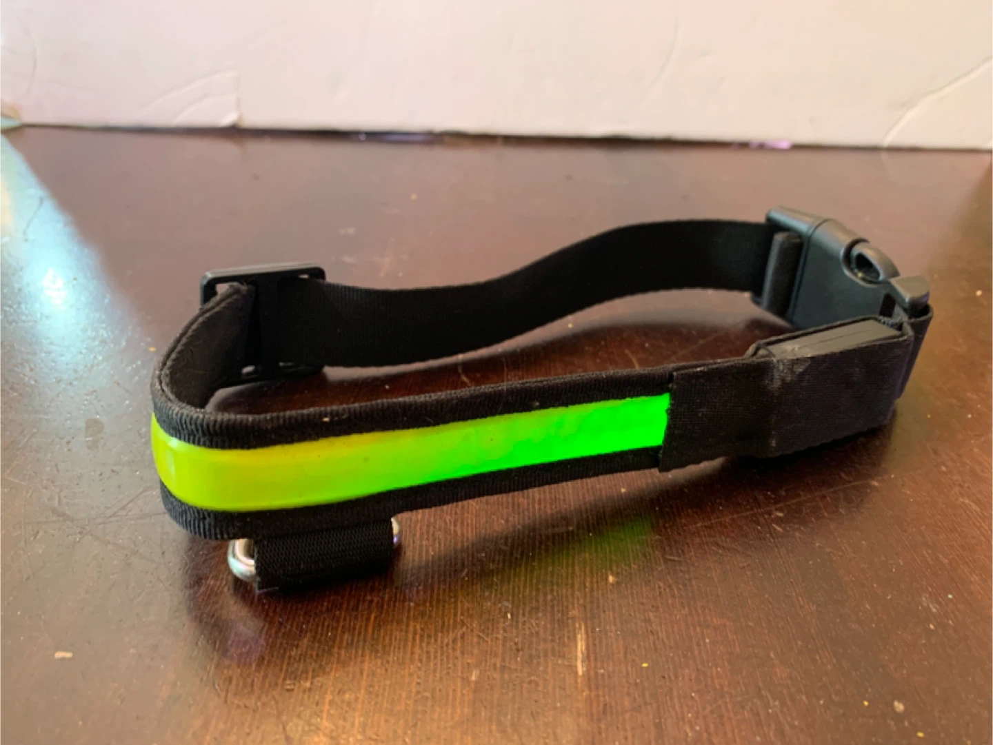 LED Light Up Dog Collar