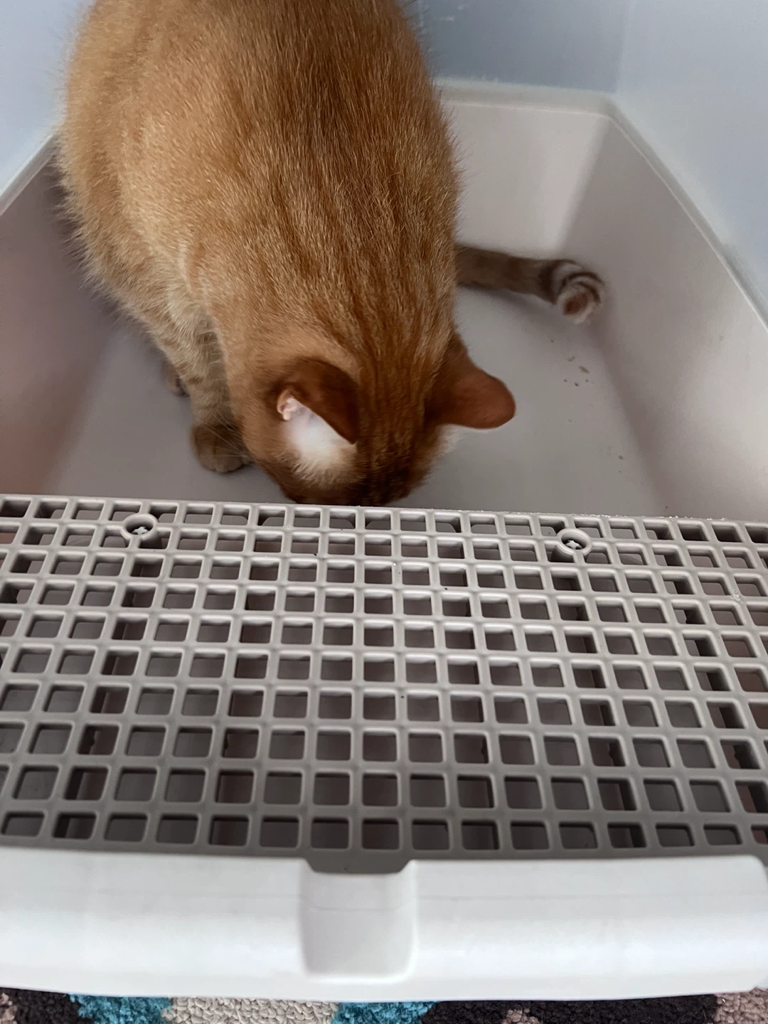 IRIS SN-620 Cat Litter Box - photo 3