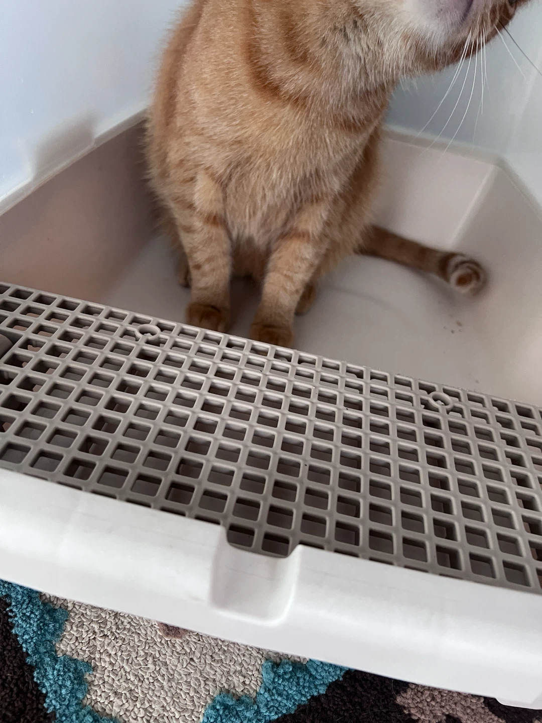 IRIS SN-620 Cat Litter Box - photo 4