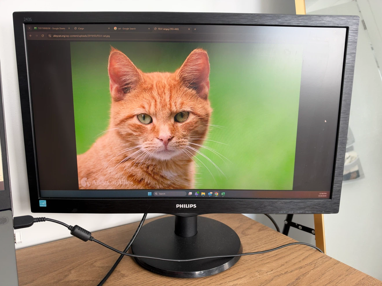 Philips 243S Monitor