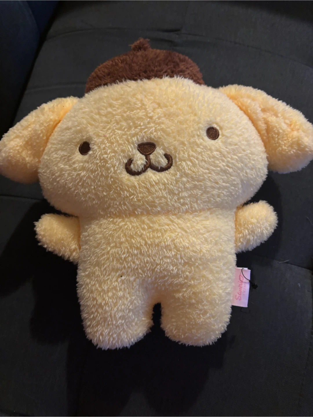 Sanrio Pompompurin Plush Toy