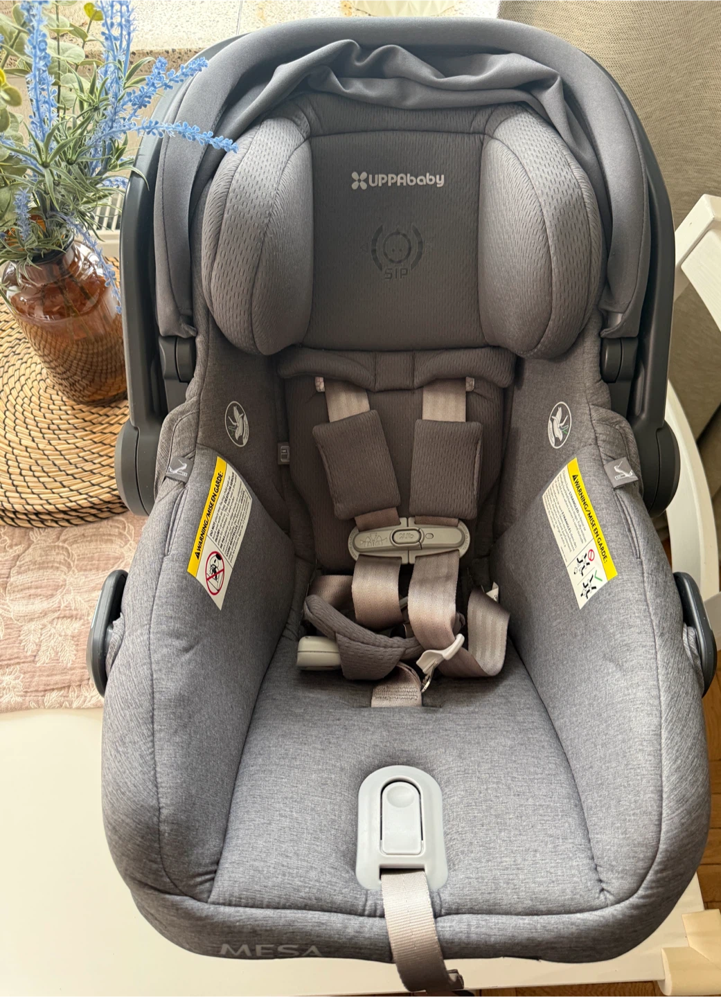 UPPAbaby MESA V2 Infant Car Seat + Base – $250