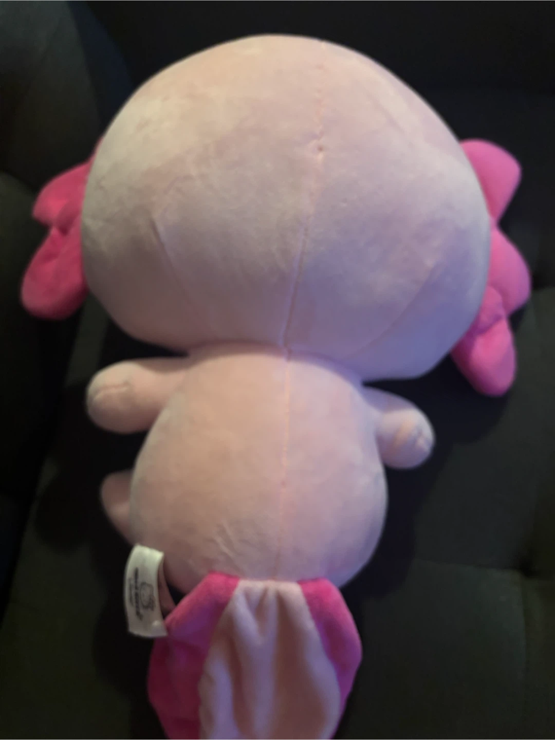 Hello Kitty Axolotl Plush Sanrio - photo 3