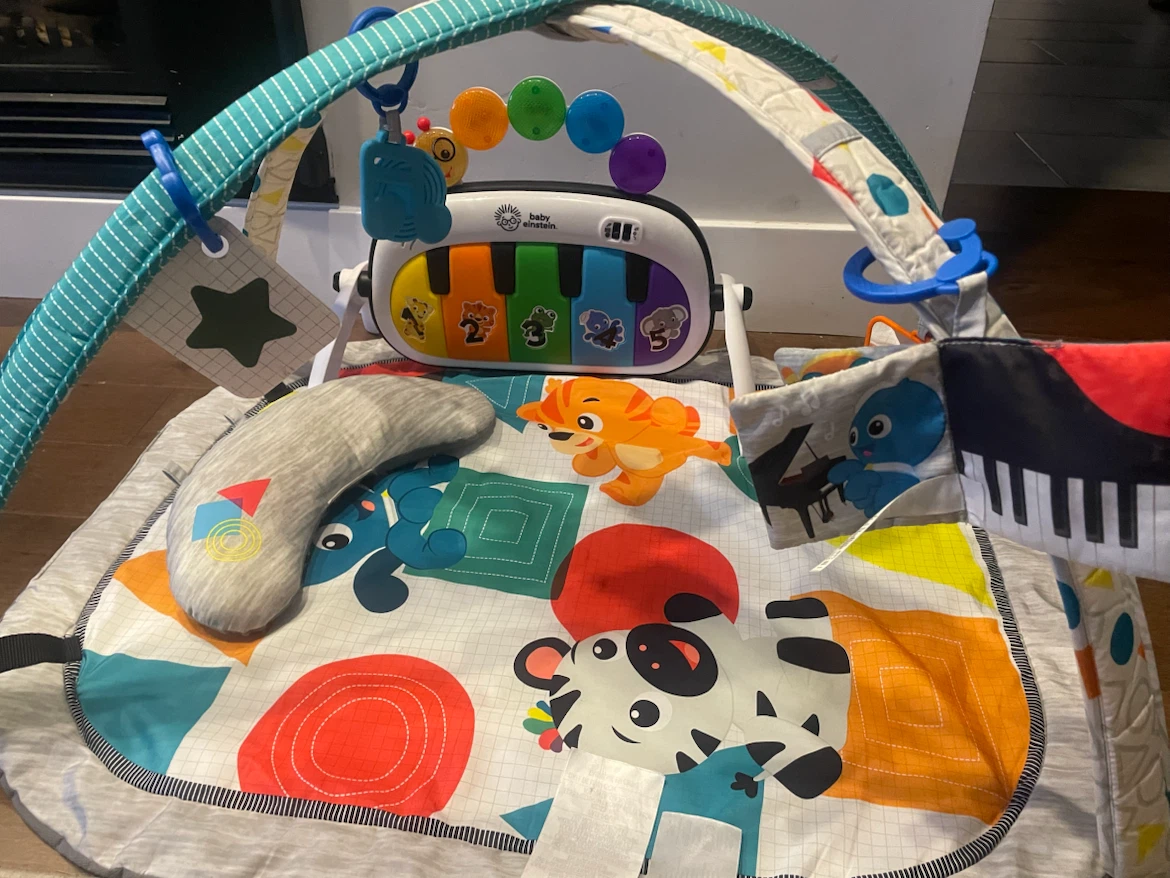Baby Einstein Musical Play Gym