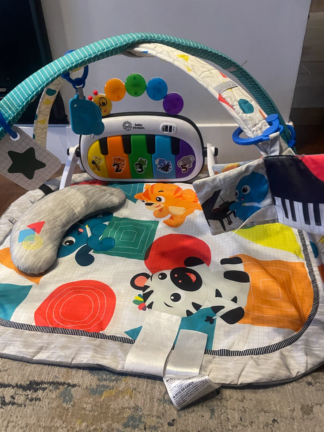 Baby Einstein Musical Play Gym - photo 2