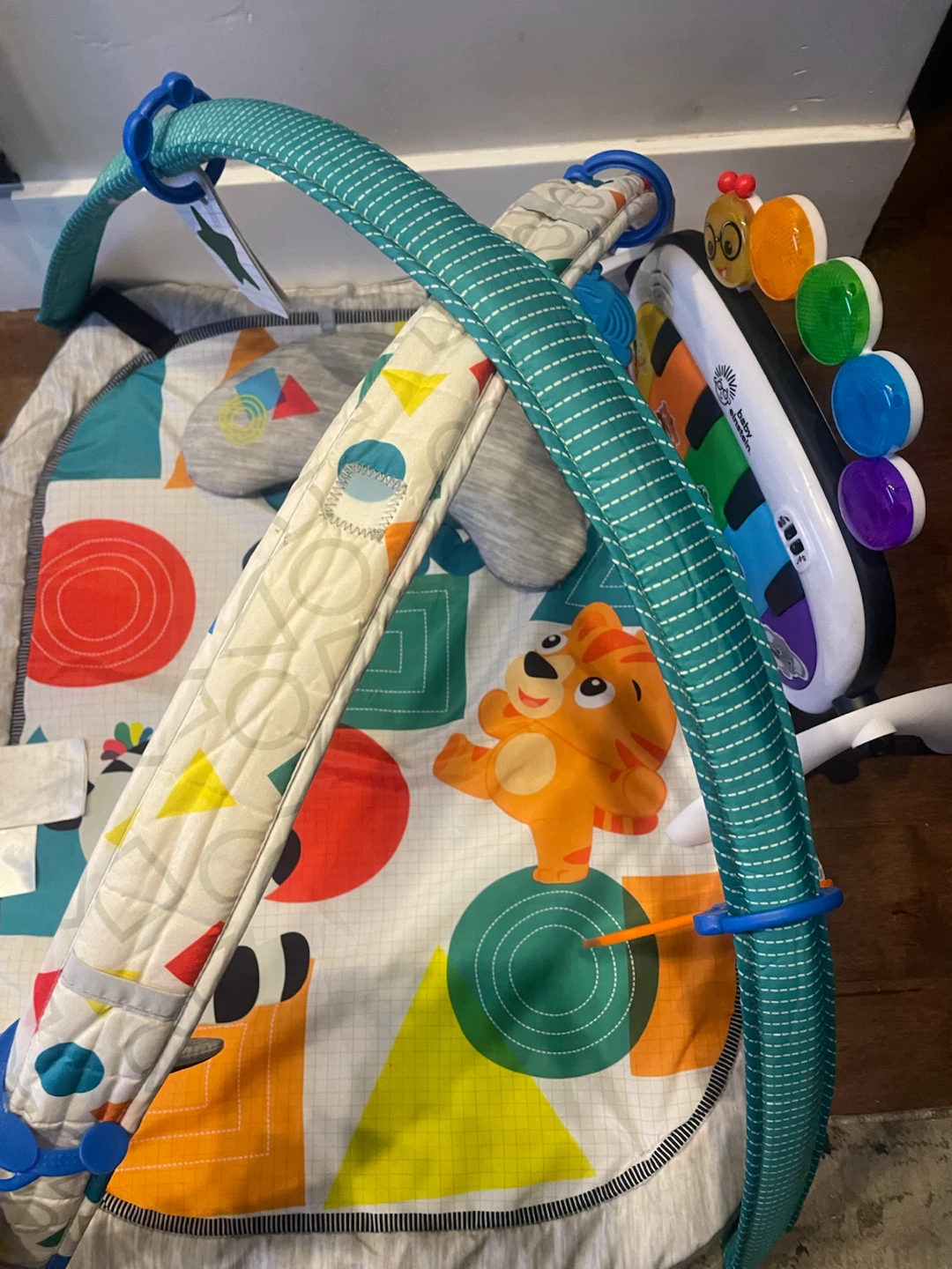 Baby Einstein Musical Play Gym - photo 5