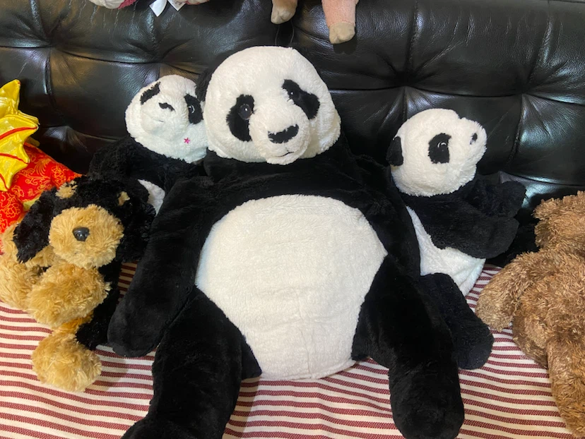 Collection of Assorted Plush Toys - photo 5