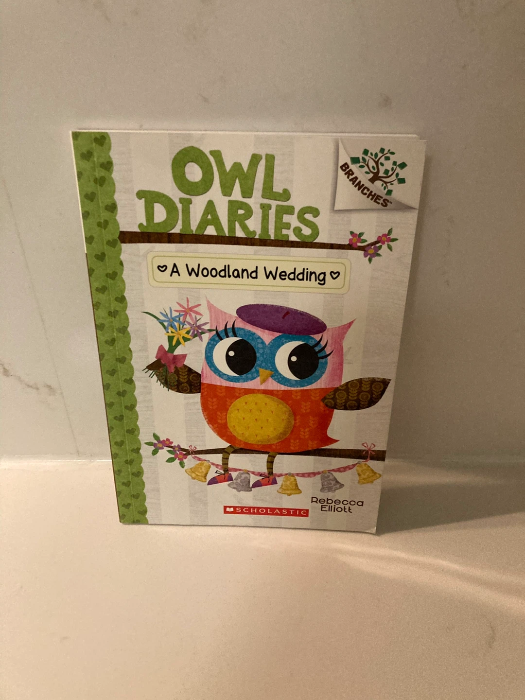 3 Owl Diaries Books by Rebecca Elliott - photo 5