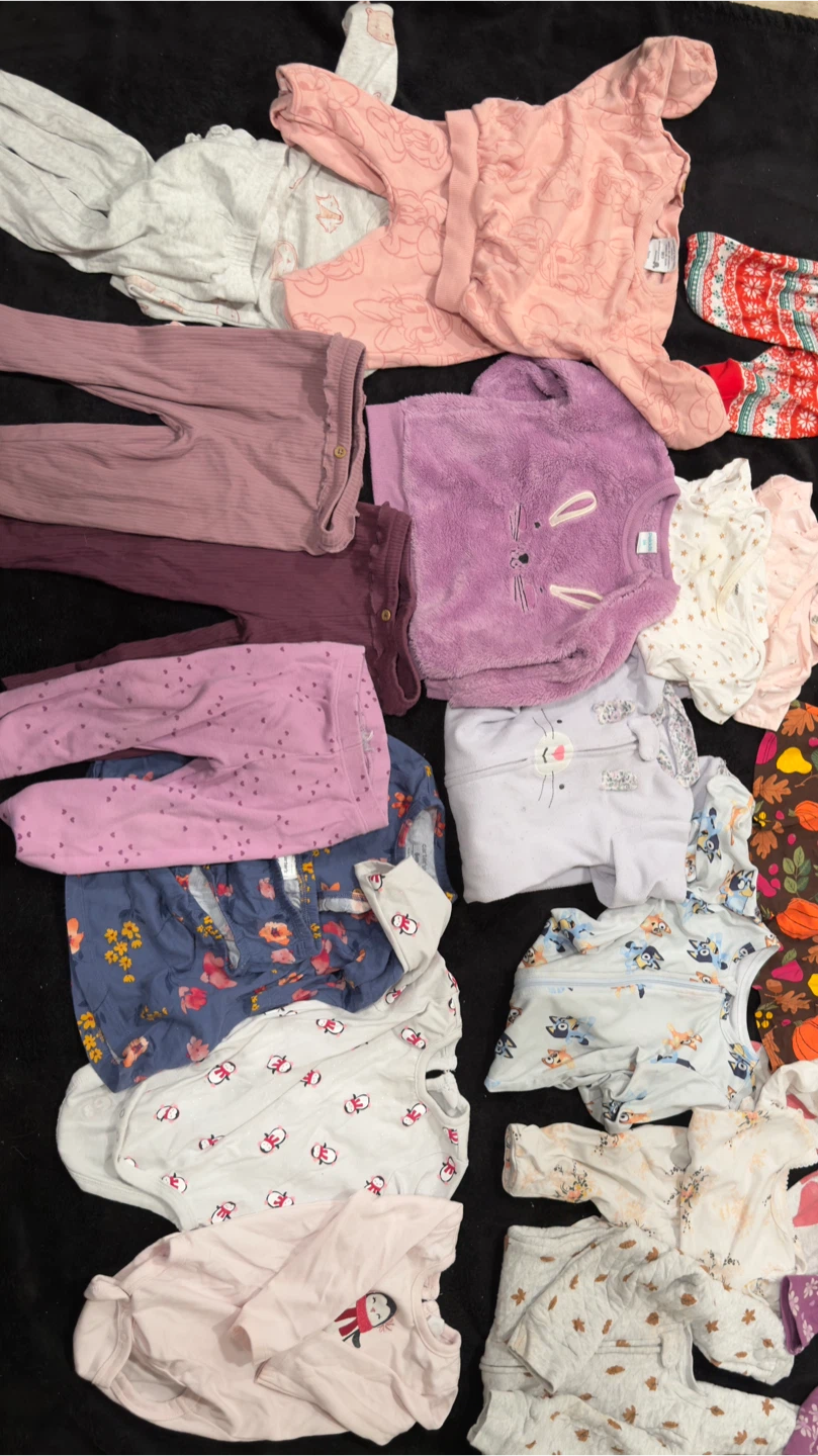 Baby Girl Clothing Bundle 6-12M - photo 2