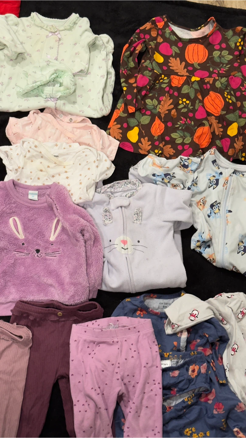 Baby Girl Clothing Bundle 6-12M - photo 3
