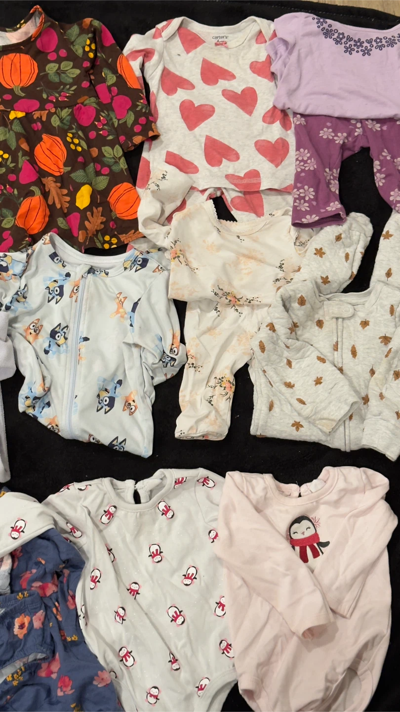 Baby Girl Clothing Bundle 6-12M - photo 5