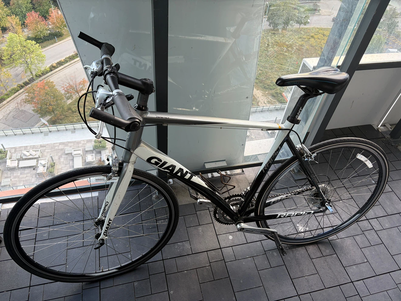 Giant Rapid hybrid bike