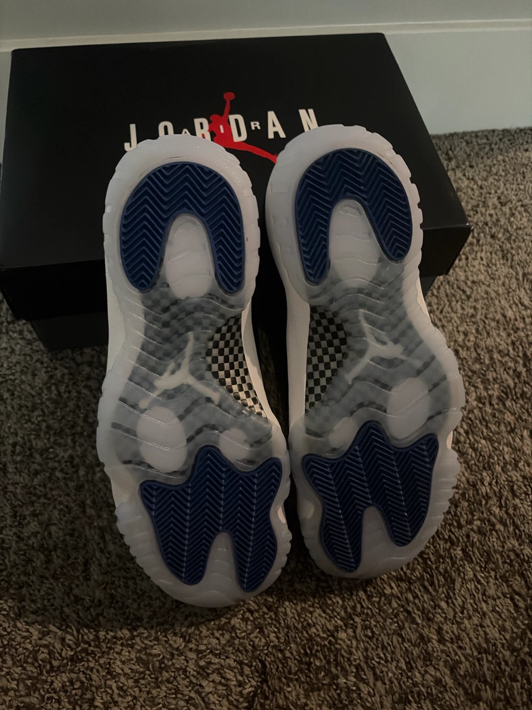 Jordan 11 space jam