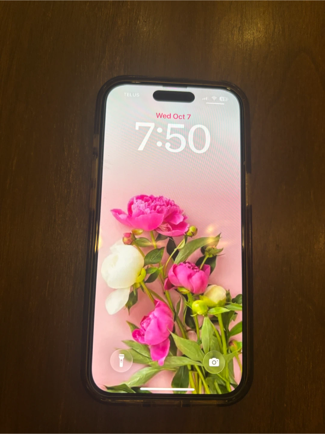 Pink apple IPhone 15 with MagSafe Phone Case