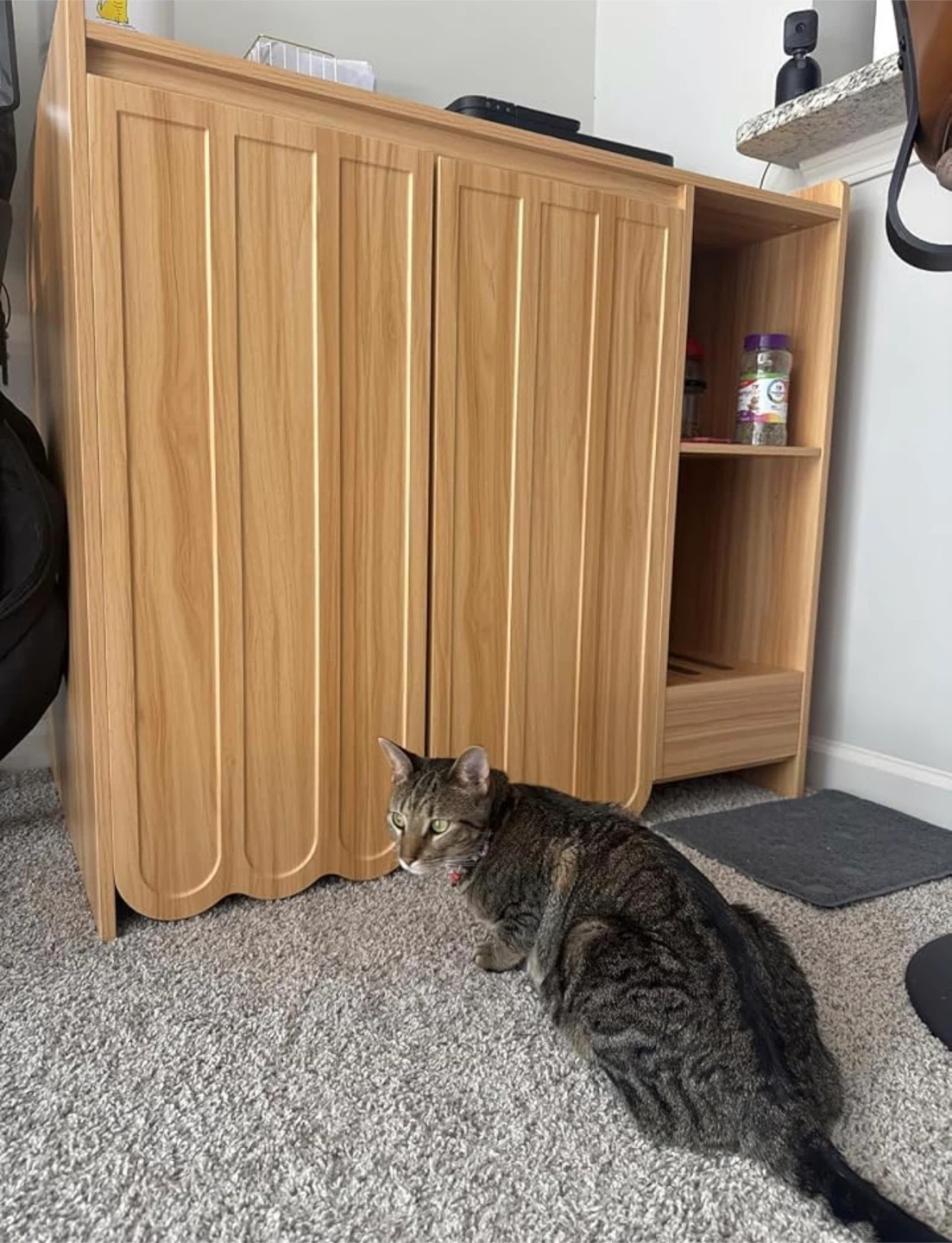 Large Litter Box Enclosure - photo 2