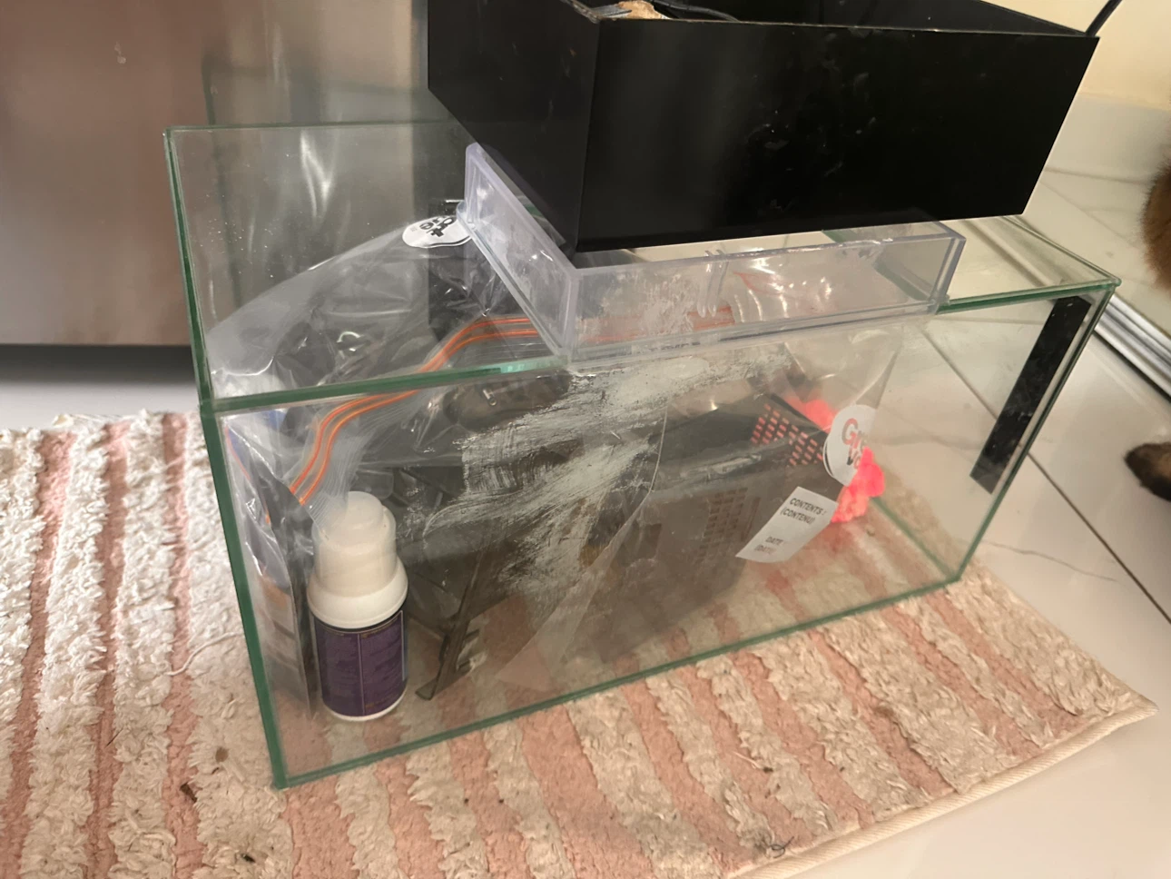 Glass Aquarium Starter Kit - photo 5