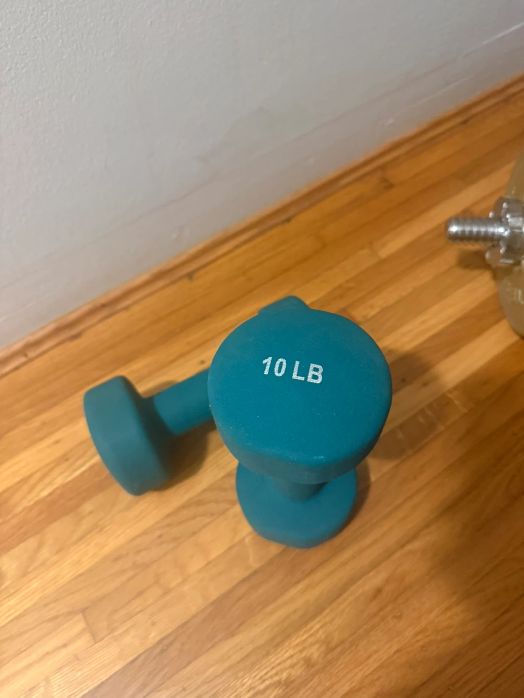2x 10lb dumbells