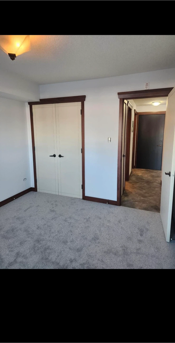 1+bed and 1 bath - Apartment Rental Listing - photo 2