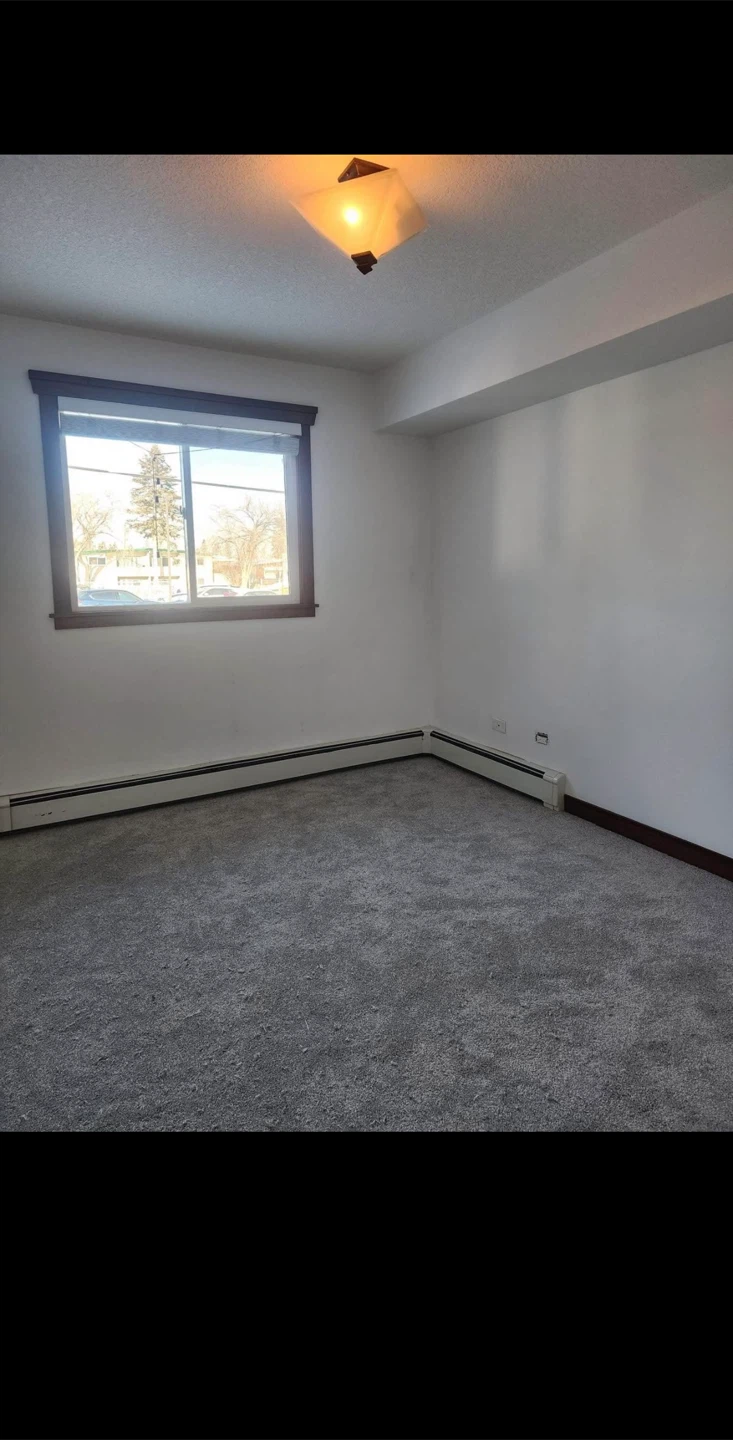 1+bed and 1 bath - Apartment Rental Listing - photo 3