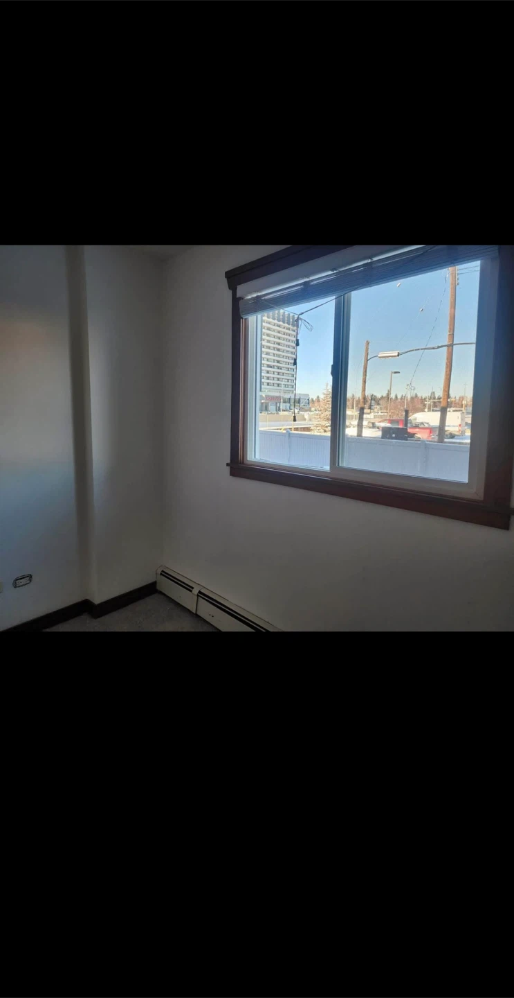 1+bed and 1 bath - Apartment Rental Listing - photo 4