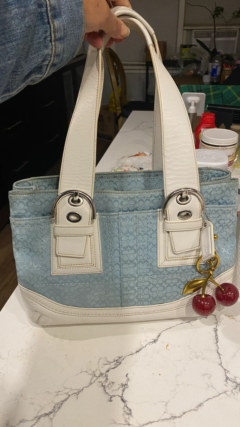 Coach Signature Stripe Handbag