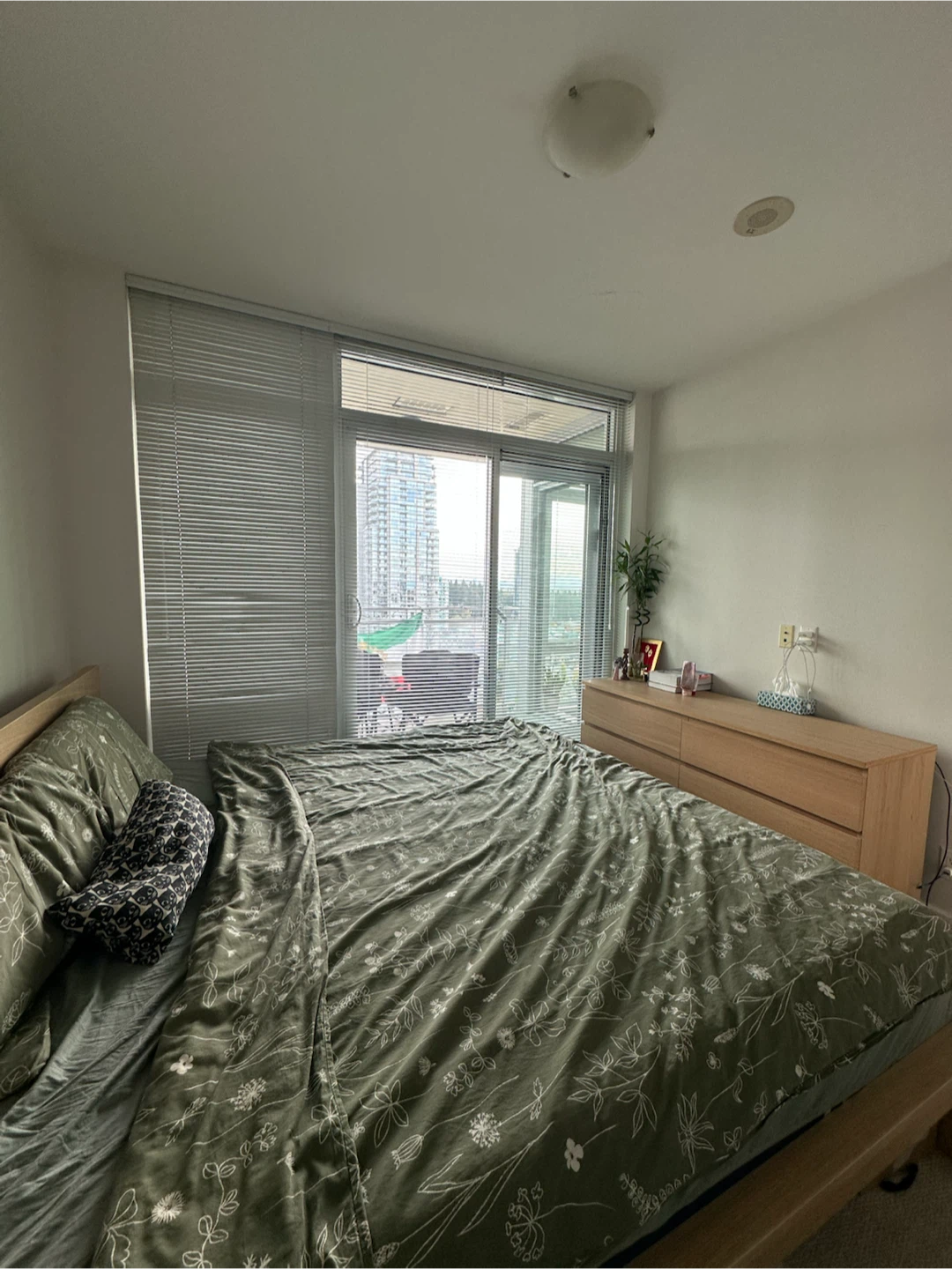 1 Bedroom Apartment for Rent | Coquitlam Centre | $2,100/month - photo 5