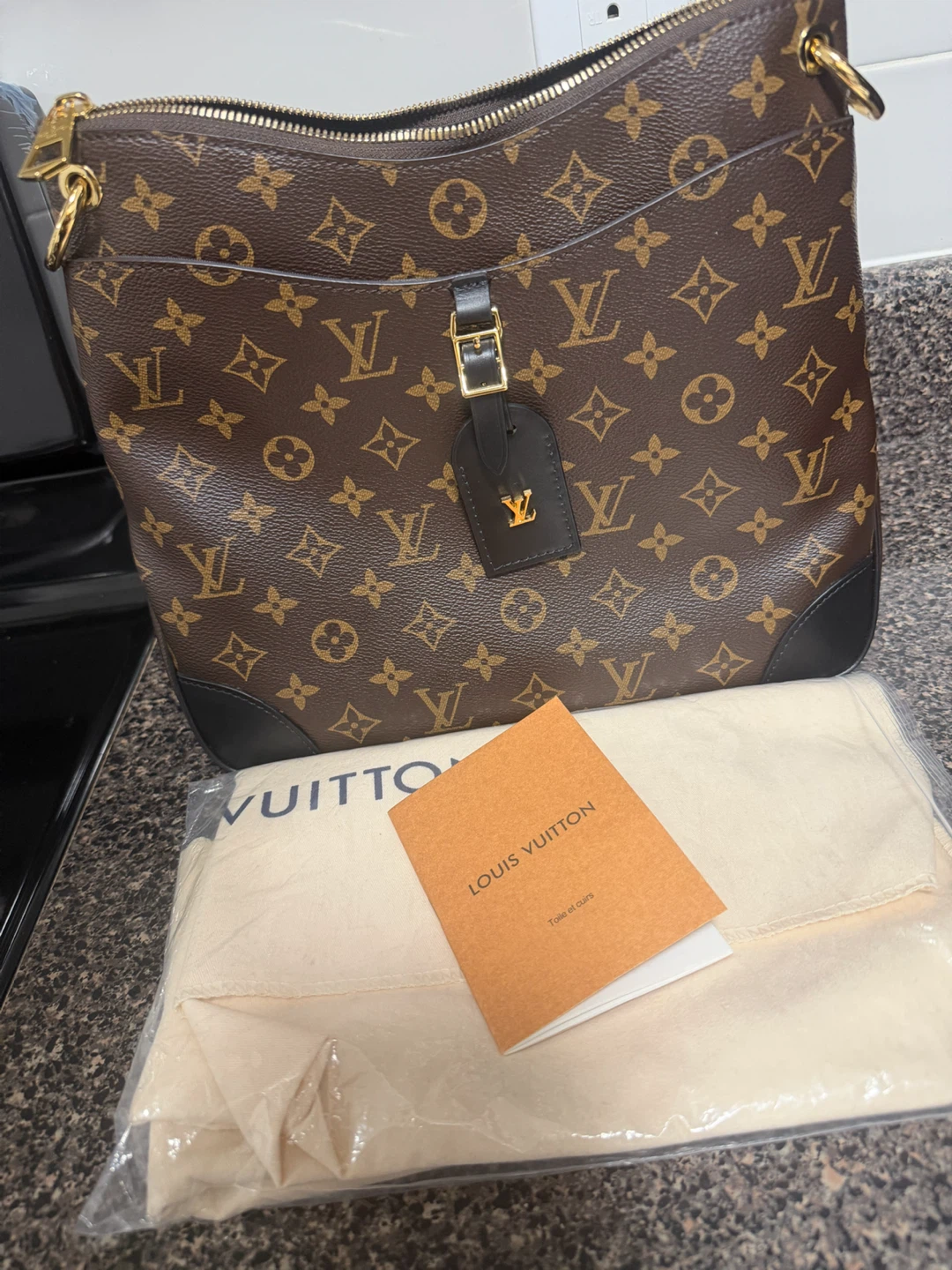 Louis Vuitton Monogram Odeon MM