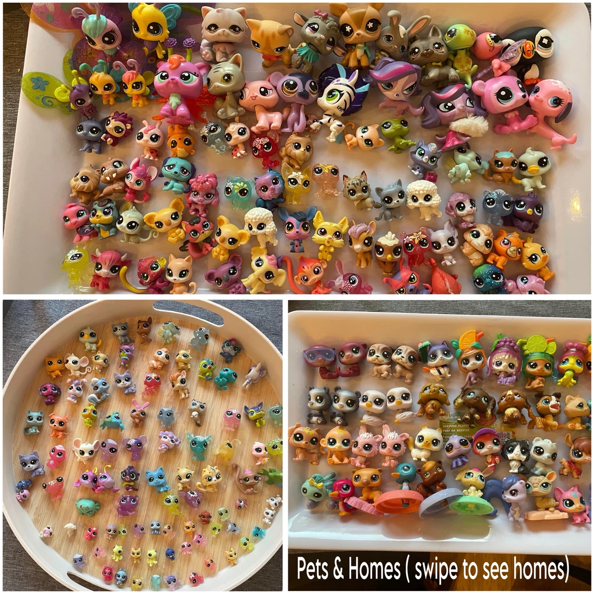 Littlest Pet Shop-All Pets & Homes