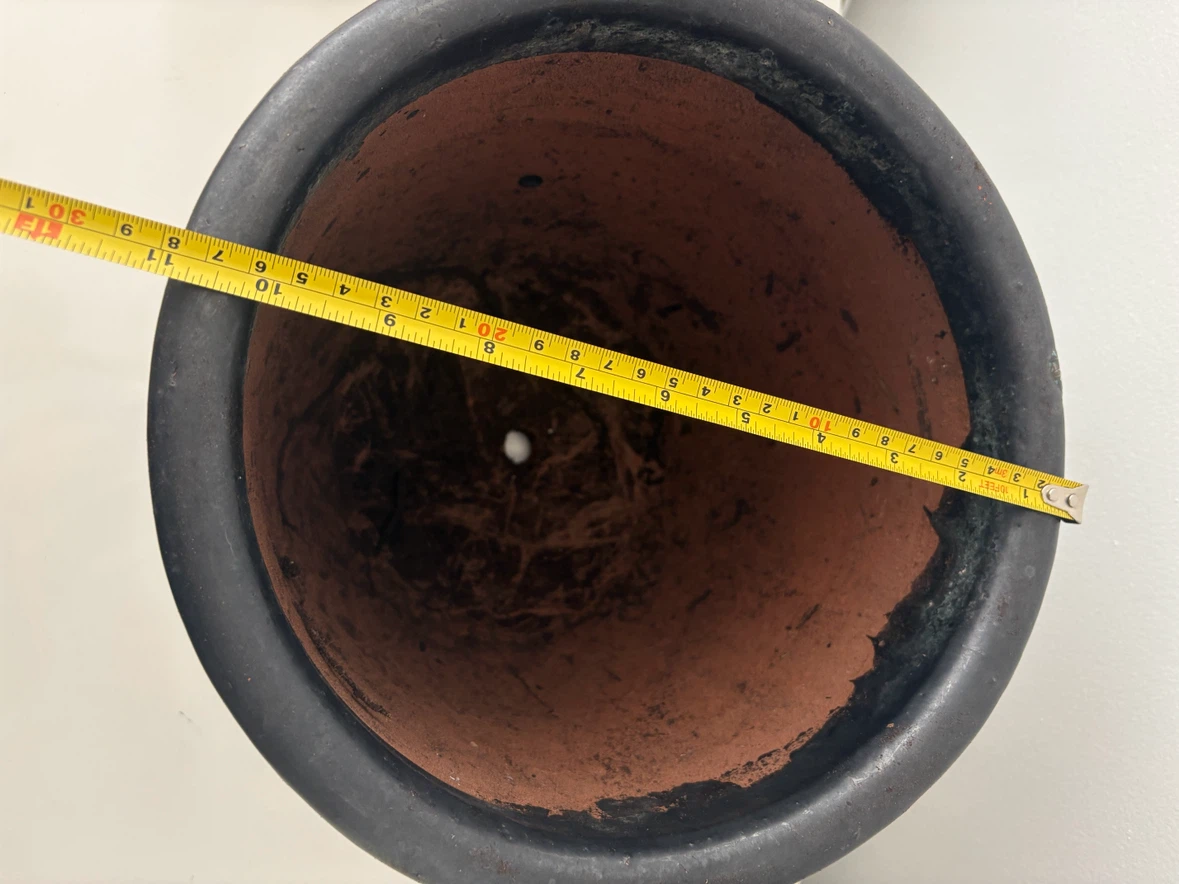Black Glazed Ceramic Plant Pot - photo 3