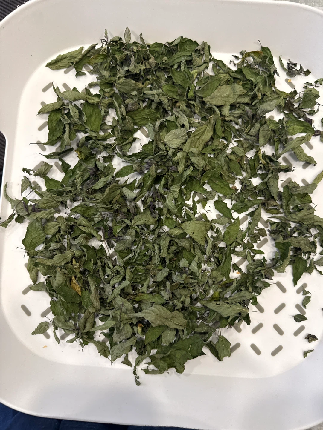 Dried spearmint or fresh  $ 2 a pound good for hormones - photo 3