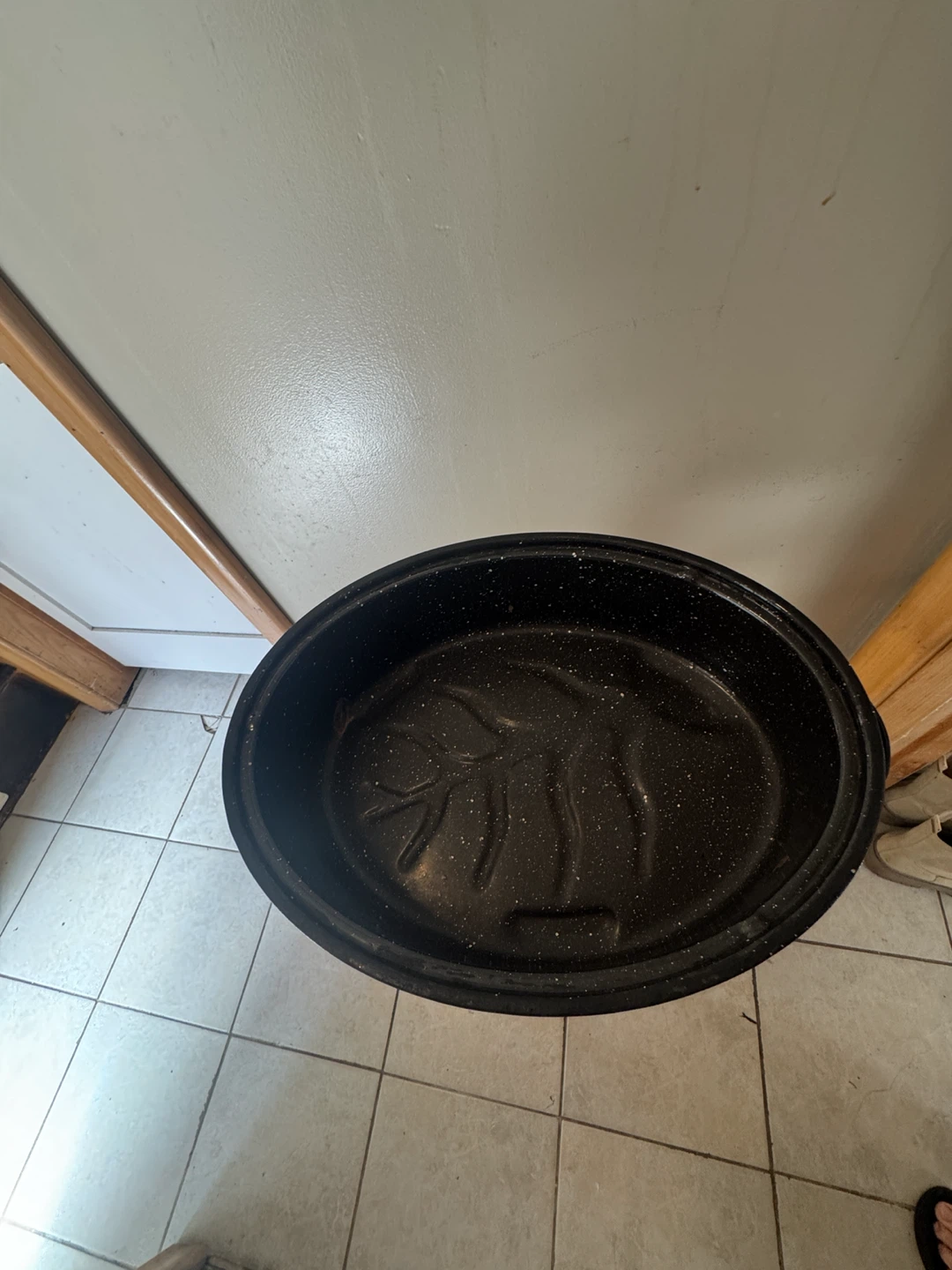 Oval Enamel Roasting Pan with Lid