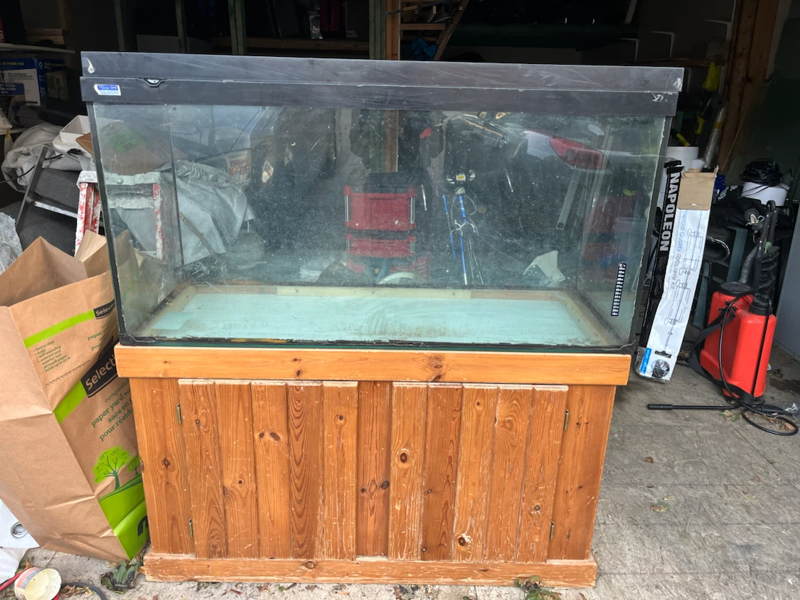 100 Gallon Fish Tank