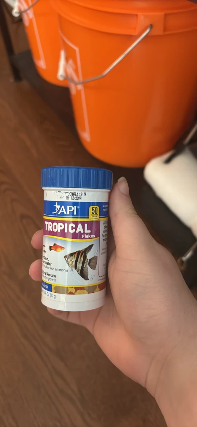 API Tropical Fish Flakes 10g